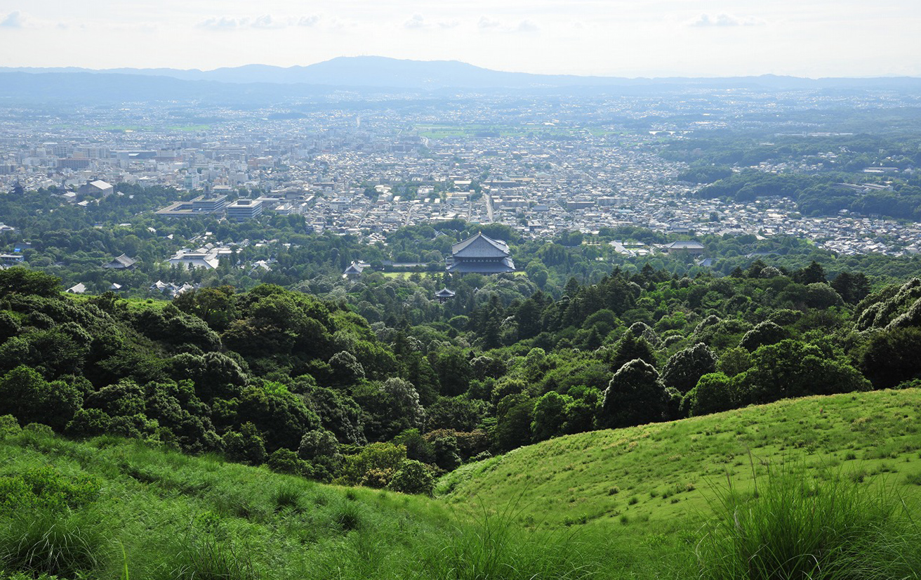 奈良県奈良市のメイン写真